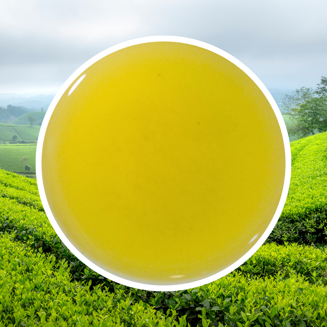 Lục Trà Nhài Hoa Ngọc Lan - 1 KG